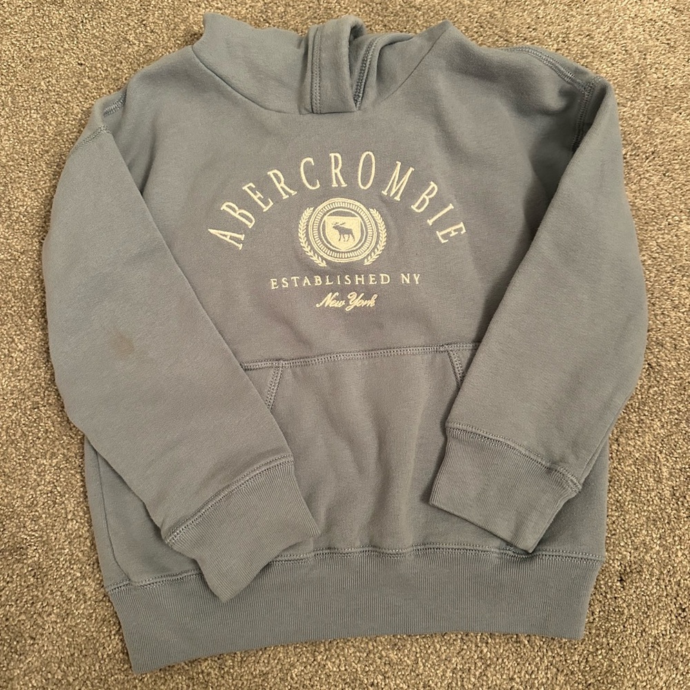 Abercrombie Kids Blue Logo Hoodie